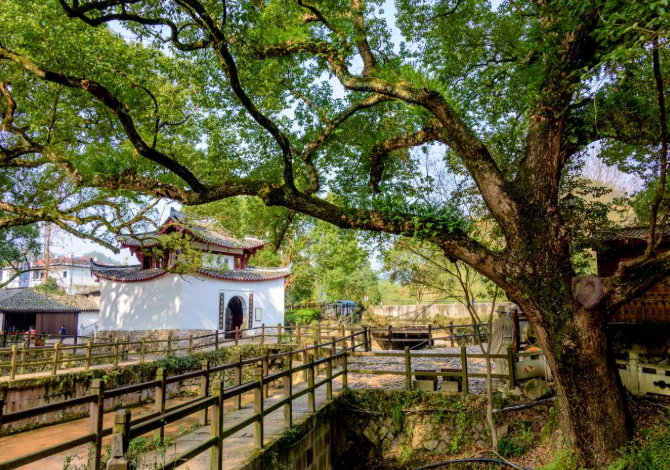 丽水美食地图