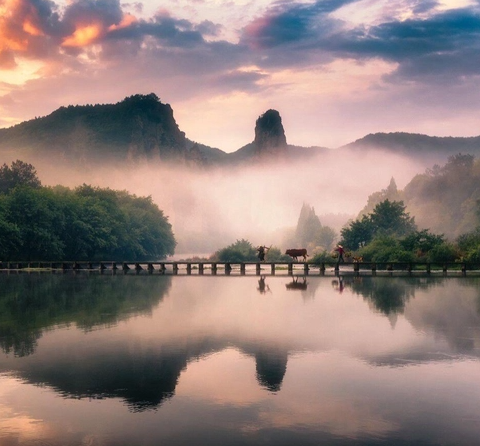 游客